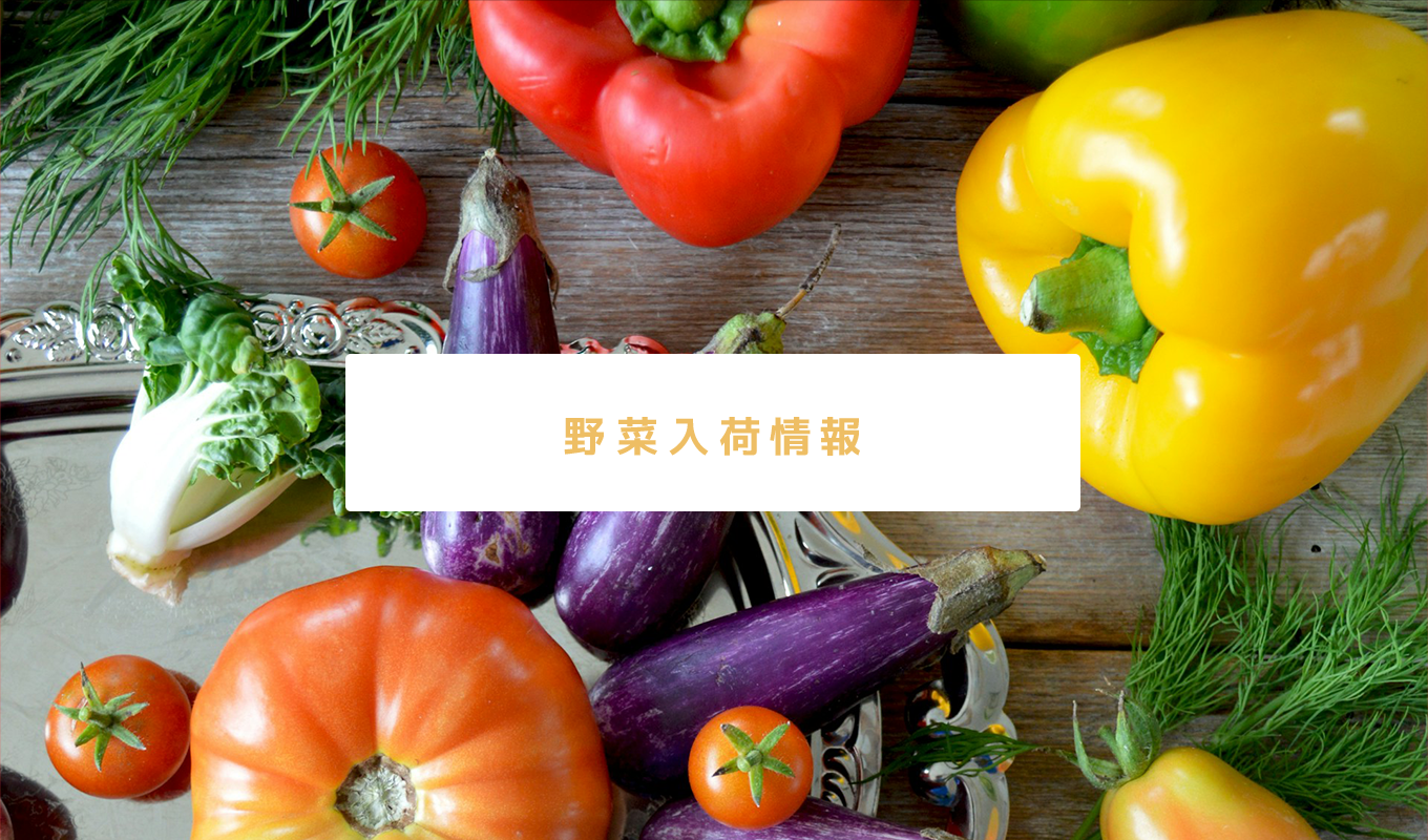 野菜入荷情報