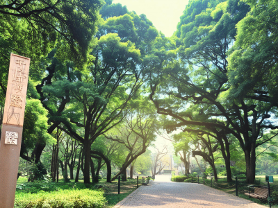 近くにある大きな公園、砧公園の画像